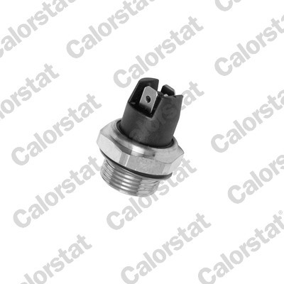 Temperature switch radiator - temperature,