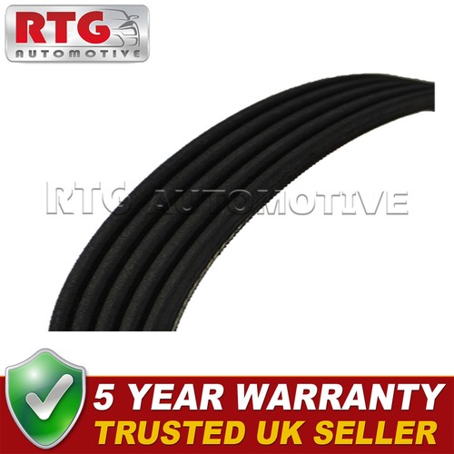 Ribbed drive belt fits bmw - ribbed,