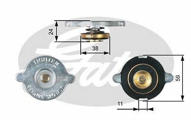 Engine radiator cap gates - radiator,
