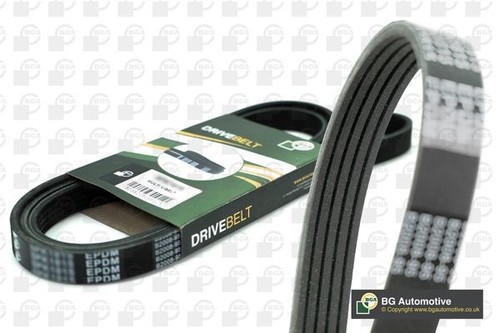 Ribbed belt fits alfa romeo - v-ribbed,